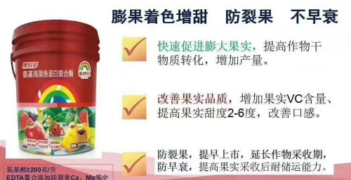 钙肥,施用一定要注意这几点吗(钙肥,施用一定要注意这几点是否正确)