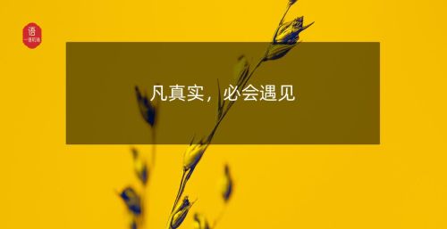 凡真实的必会相遇(凡真实的必会相遇是什么意思)