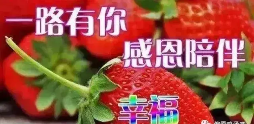 亲爱的早上好新的一天开始了(亲爱的早上好美好的一天又开始了)