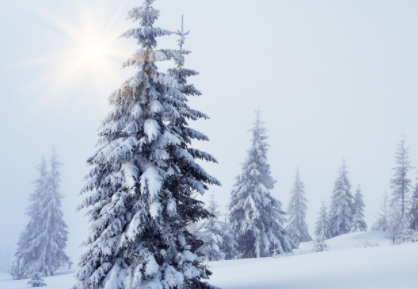 我这里雪很大你那里大不大什么意思(我这里雪好大 你那里大不大)