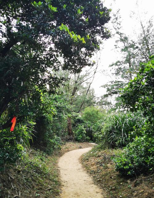 海南万宁的大花角村在哪里(海南万宁大花角图片)