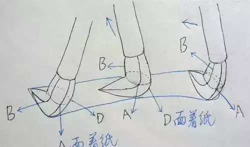 什么叫露锋,什么是藏锋(藏锋和露峰是什么意思)