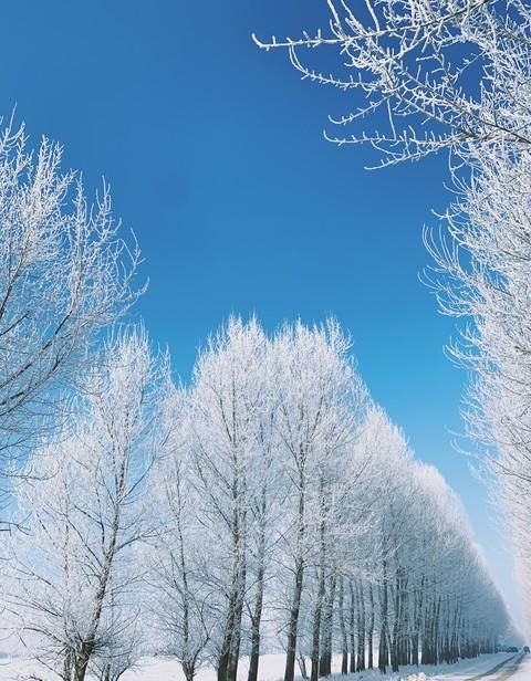 绝美雾凇,天下奇观,犹如仙境一样(绝美雾凇,天下奇观,犹如仙境什么意思)