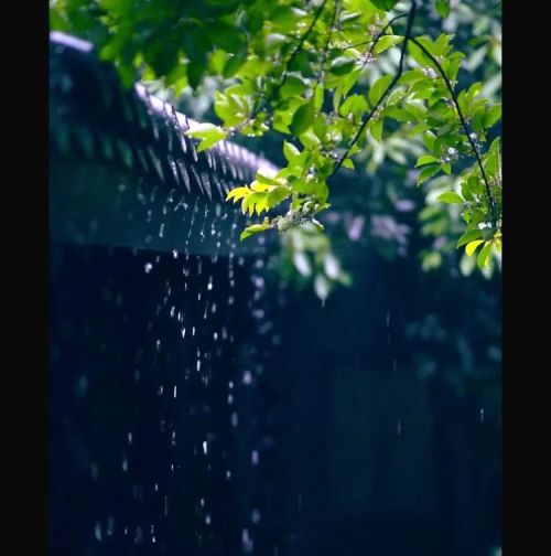 《春夜喜雨》!古诗(春夜喜雨+古诗)