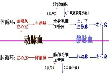 吐故纳新的成语意思(吐故纳新出处)