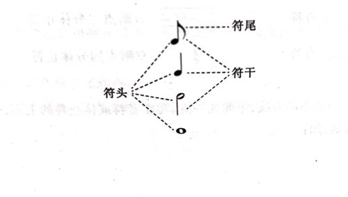 教你认识音符与休止符的关系(教你认识音符与休止符的区别)