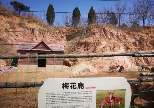 潍坊青山秀水旅游度假区(青山秀水旅游度假区怎么样)