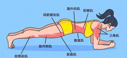 最简单的平板支撑(平板支撑 怎么做)