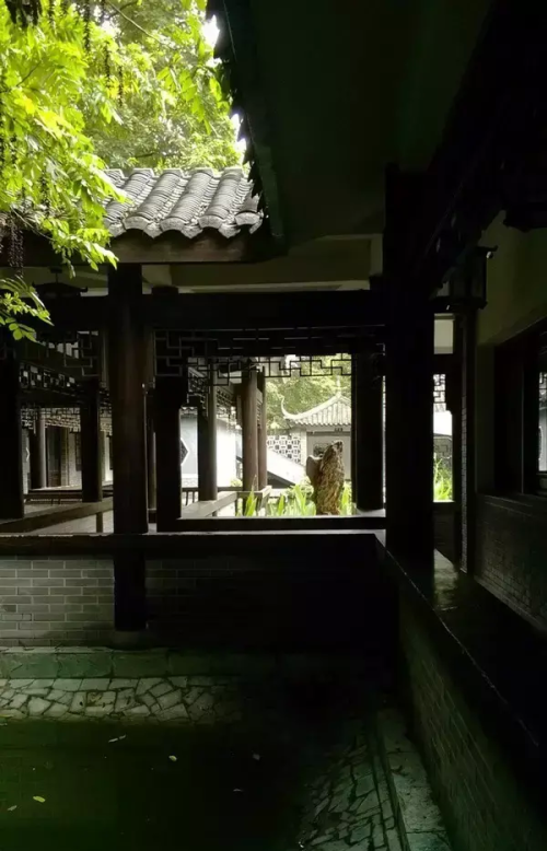 中式庭院回廊(中式回廊要设计多宽)