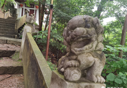 山中夏日,最幽静的夏日诗词有哪些(山中夏日,最幽静的夏日诗词是什么)