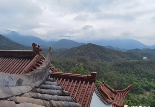 山中夏日,最幽静的夏日诗词有哪些(山中夏日,最幽静的夏日诗词是什么)