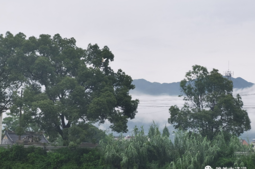 山中夏日,最幽静的夏日诗词有哪些(山中夏日,最幽静的夏日诗词是什么)