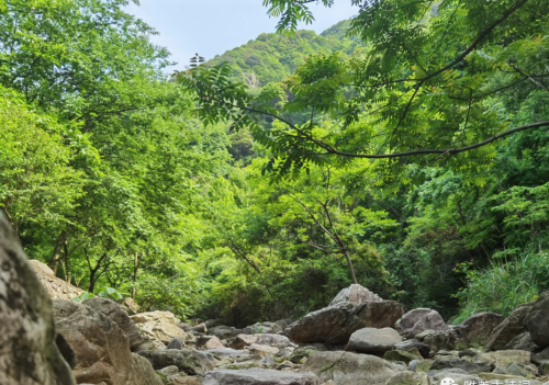 山中夏日,最幽静的夏日诗词有哪些(山中夏日,最幽静的夏日诗词是什么)