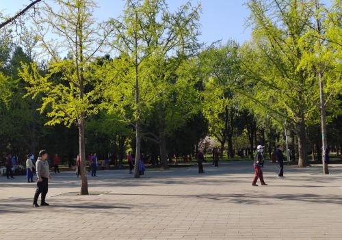 地坛皇祗室介绍(地坛皇祇室怎么读)