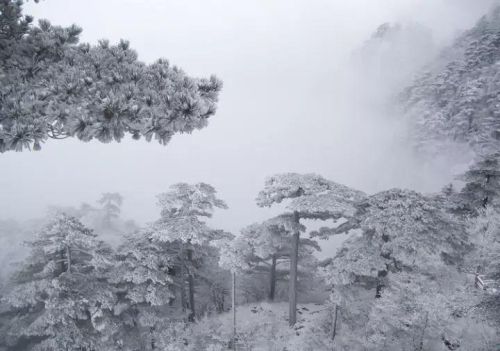 写雪后景色的诗句(描写雪后景的唯美诗句)