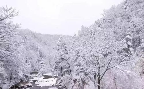 写雪后景色的诗句(描写雪后景的唯美诗句)