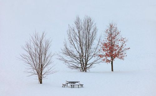 写雪后景色的诗句(描写雪后景的唯美诗句)