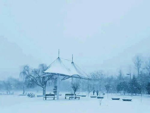 写雪后景色的诗句(描写雪后景的唯美诗句)