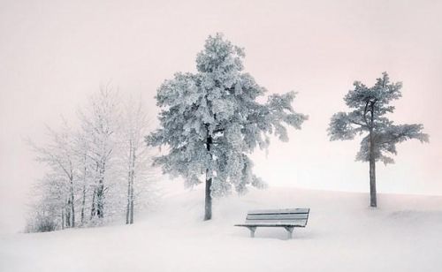 写雪后景色的诗句(描写雪后景的唯美诗句)