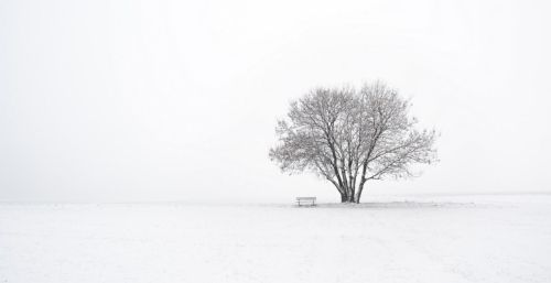 写雪后景色的诗句(描写雪后景的唯美诗句)