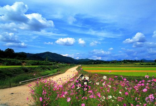 孟郊一首《登科后》留下两个成语是什么(孟郊一首《登科后》留下两个成语)