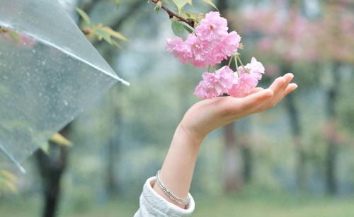 春天桃花园里桃花艳指什么(春天桃花园里桃花艳艳的句子)