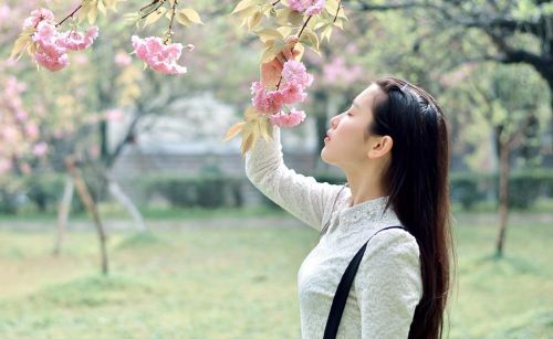 春天桃花园里桃花艳指什么(春天桃花园里桃花艳艳的句子)