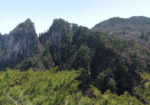 黄山奇石梦笔生花是什么意思(黄山奇石梦笔生花介绍)