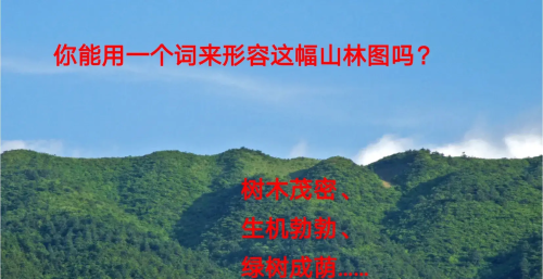 六年级上册《青山不老》笔记(六年级上册青山不老课文笔记)