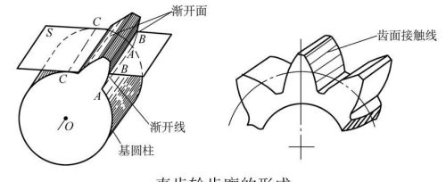 齿轮传动机械有哪些(齿轮传动的分类及应用)