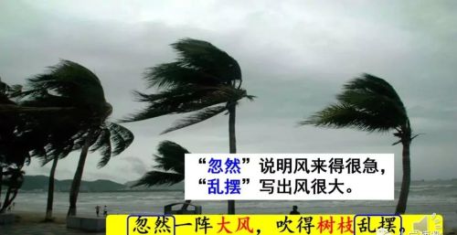 雷雨 二年级语文课文(雷雨小学语文二年级课文)