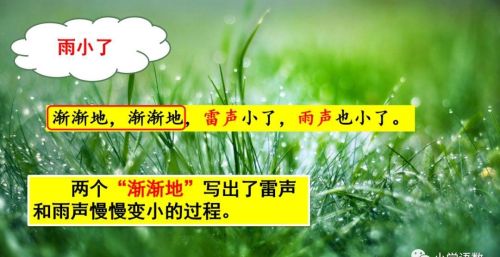 雷雨 二年级语文课文(雷雨小学语文二年级课文)