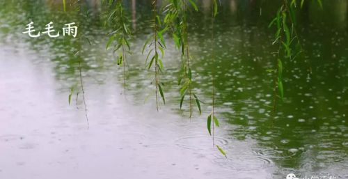 雷雨 二年级语文课文(雷雨小学语文二年级课文)