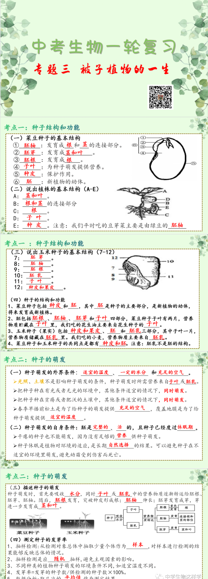 初中生物被子植物的一生(第三单元第二章被子植物的一生)