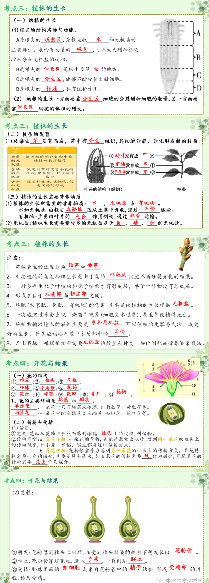 初中生物被子植物的一生(第三单元第二章被子植物的一生)