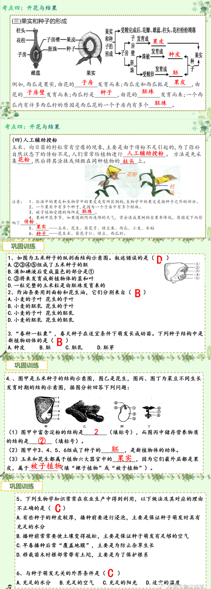 初中生物被子植物的一生(第三单元第二章被子植物的一生)