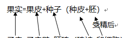 初中生物被子植物的一生(第三单元第二章被子植物的一生)