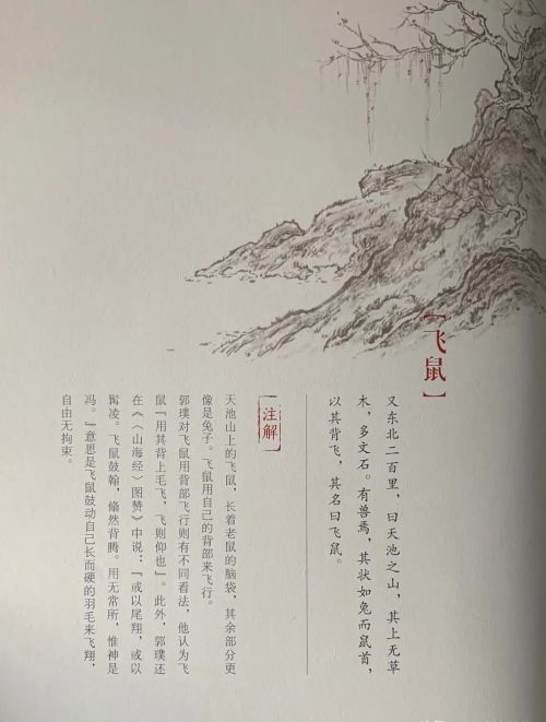 山海经中的飞鼠(山海经中的飞鱼介绍)