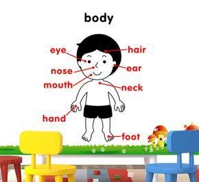 和身体有关的成语有哪些(和身体有关的成语有哪些.三年级上册)