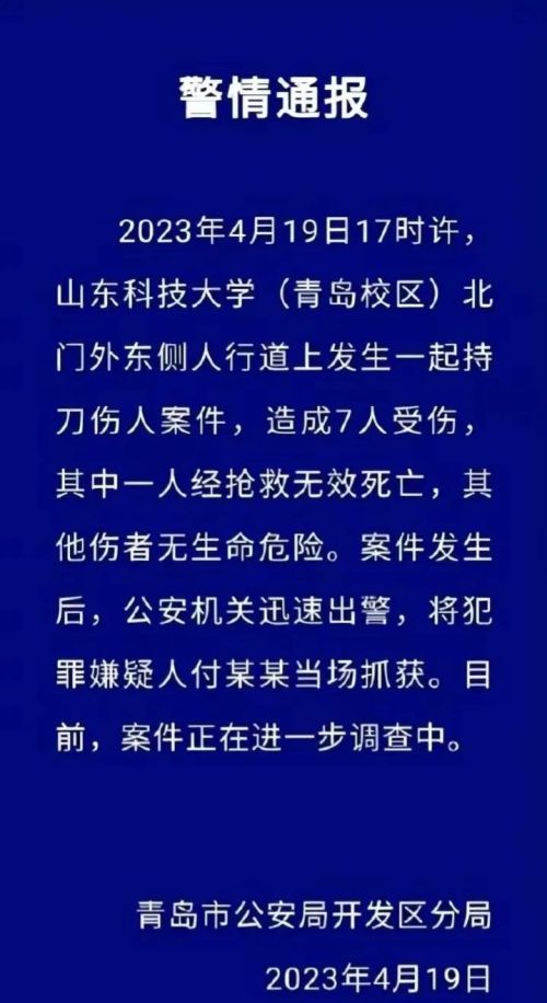  30岁男子疑因游戏砍死三名至亲，疑山科大学生报复伤人，一死6伤，山东一男子砍杀女硕士