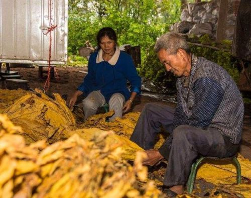 走出原始森林所需物品(最早走出森林的人)