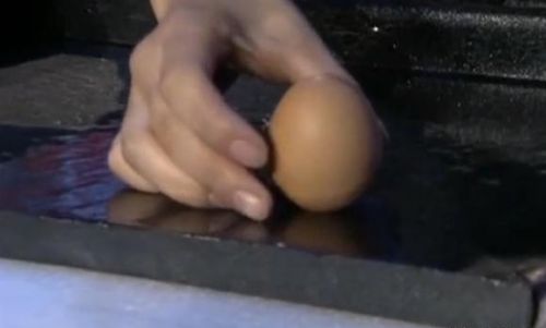鸡蛋竖着放比横着放更抗压吗(鸡蛋竖着放好还是横着放好)