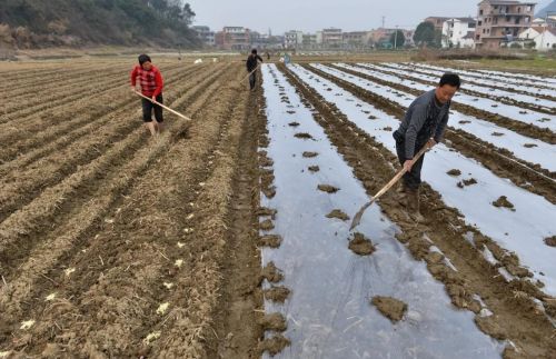 土地承包制是什么意思(实行土地承包制)