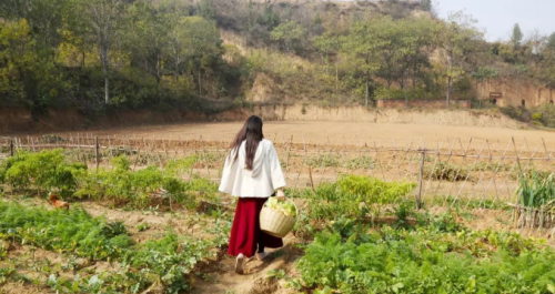 土地承包制是什么意思(实行土地承包制)