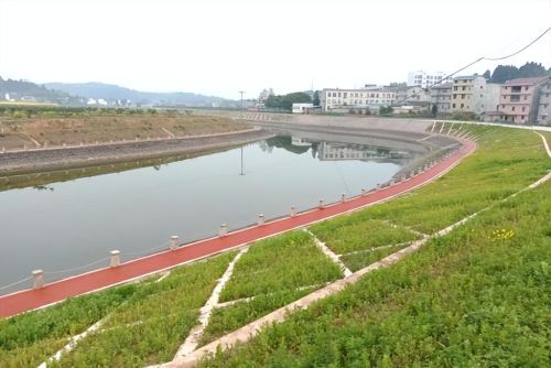  安岳县乾龙镇迴龙社区以“五大行动”为抓手，主动推广基层河湖管护“解放模式”