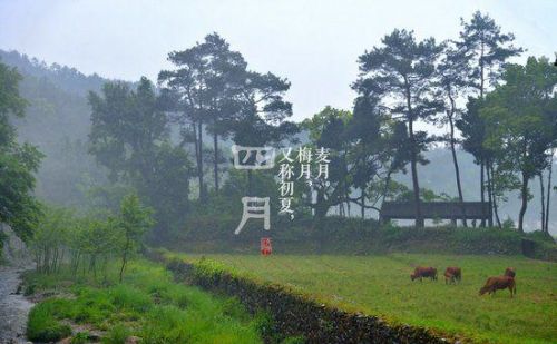 农历十二个月别称,满满的诗情画意(中国农历十二个月的别称)