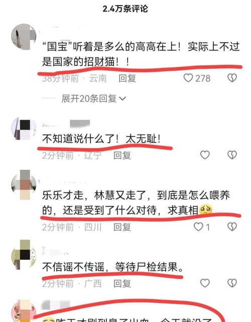  泰国这是要干啥？能赔多少钱？两只大熊猫都被他们养没了！