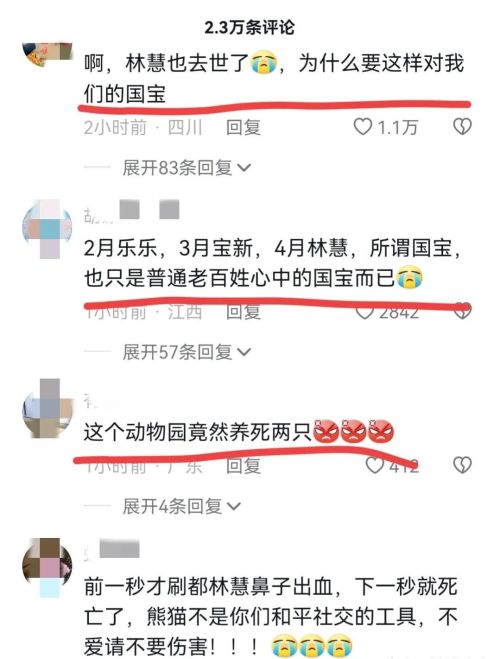  泰国这是要干啥？能赔多少钱？两只大熊猫都被他们养没了！