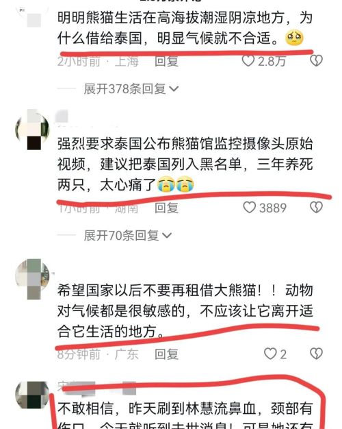  泰国这是要干啥？能赔多少钱？两只大熊猫都被他们养没了！