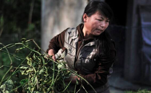 多年媳妇熬成婆的另一种说法(多年的媳妇熬成婆是什么意思)